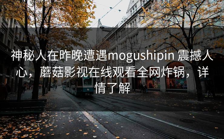 神秘人在昨晚遭遇mogushipin 震撼人心,蘑菇影视在线观看全网炸锅,详情了解