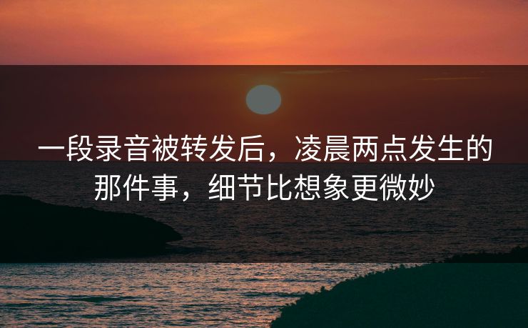 一段录音被转发后，凌晨两点发生的那件事，细节比想象更微妙