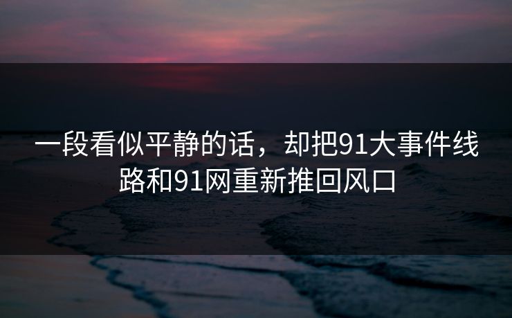 一段看似平静的话，却把91大事件线路和91网重新推回风口